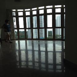 Emerald East (D15), Apartment #154068572